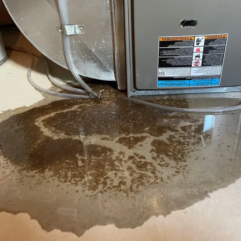 Pipe Burst and Leak Restoration in Christiana, PA